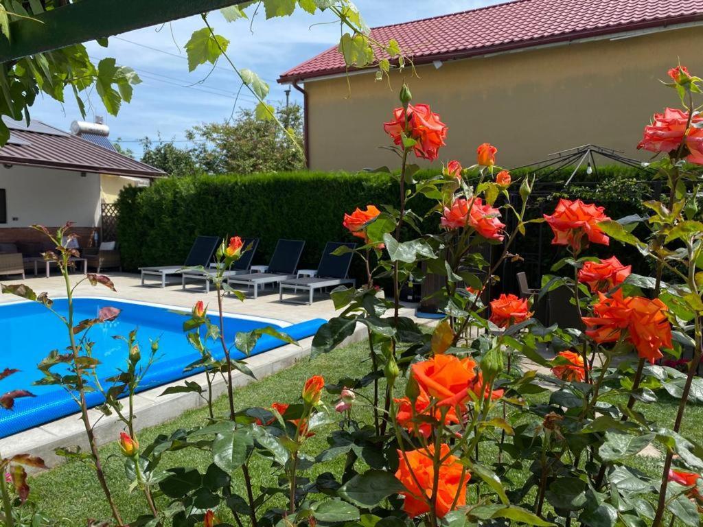 Casa Mateiana Hotel Западен Ефорие Екстериор снимка