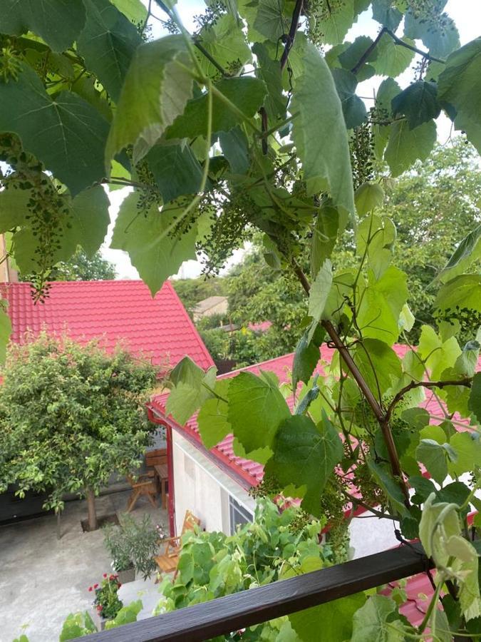Casa Mateiana Hotel Западен Ефорие Екстериор снимка